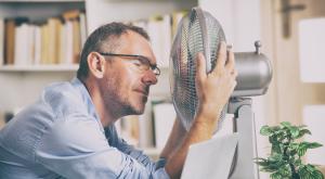 ממשיך להיות שרבי צילום: Monika Wisniewska,Shutterstock תחזית מזג האוויר