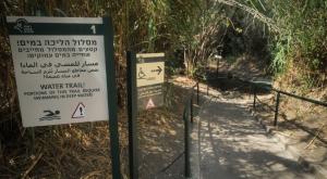 נחל בצפון, בדקו אם הוא ברשימה צילום: Michael Giladi,Flash90 חדשות