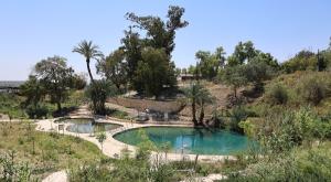 עין הנצי"ב, ייפתח מחדש לציבור צילום: שי אייזקס טיולים