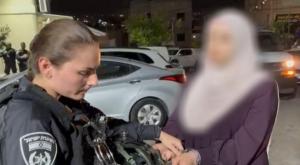 רגעי המעצר צילום: דוברות המשטרה פלילים
