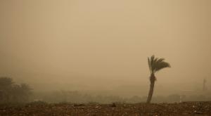 שרב כבד בפתח צילום: Maor Kinsbursky,Flash90 תחזית מזג האוויר
