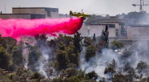 שריפה, ארכיון צילום: Yonatan Sindel,Flash90 חדשות