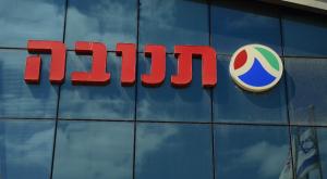 תנובה צילום: ShU studio,Shutterstock חדשות