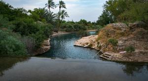 צילום: Anat Hermony/Flash90 חדשות