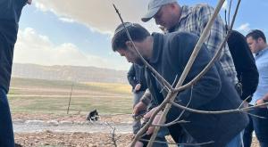 סמוטריץ' נוטע צילום: ללא אופנה
