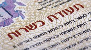  צילום: shutterstock חדשות