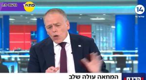 הדו"ח של אראל צילום: ערוץ 14 טלוויזיה
