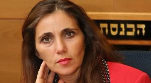 יוליה שמאלוב ברקוביץ' צילום: ללא טלוויזיה