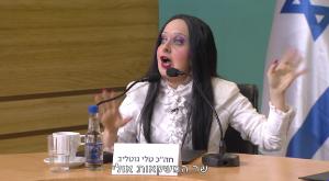 מתוך "ארץ נהדרת" צילום: צילום מסך קשת 12 ברנז'ה