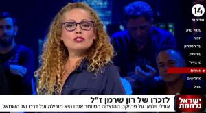 מתוך "הפטריוטים" צילום: צילום מסך ערוץ 14 טלוויזיה