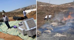 תיעוד מקום ההתפרעות בעתניאל צילום: דוברות עתניאל התיישבות