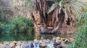 נחל ייטב צילום: بدارين, CC BY-SA 4.0, ויקיפדיה חדשות