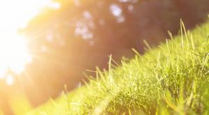 התחממות, אין זכר לגשם צילום: shutterstock תחזית מזג האוויר