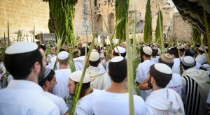 סוכות בכותל צילום: Arie Leib Abrams,Flash90 חדשות