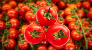 עגבניות צילום: Nati Shohat/FLASH90, zeynep ozorpak,Shutterstock חדשות