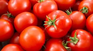 עגבניות צילום: 1777177,Shutterstock כסף