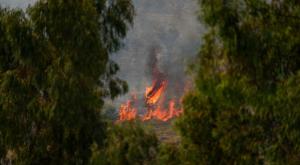 שריפה בגליל בעקבות המטח מלבנון צילום: Ayal Margolin,Flash90 חדשות