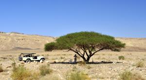 בהמשך השבוע: שרב צילום: leospek,Shutterstock תחזית מזג האוויר