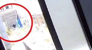 המחבל שנוטרל צילום: דוברות המשטרה חדשות
