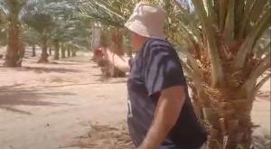 טל שפירא מ"צופר" צילום: צילום מסך, אלבום פרטי חדשות