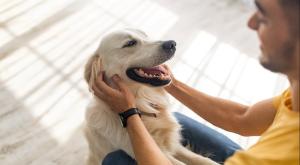 כלב ובעליו צילום: SHUTTERSTOCK כדאי לדעת
