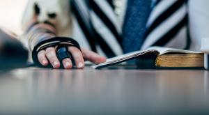 אילוסטרציה |  צילום: BorisK9,Shutterstock חדשות