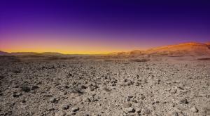 אילוסטרציה |  צילום: Sun Shock,Shutterstock כדאי לדעת