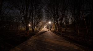 גינה ציבורית, אילוסטרציה |  צילום: Arcaion,Shutterstock חדשות