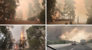 השריפה באזור בית שמש |  צילום: עובדי ויערני קק"ל חדשות