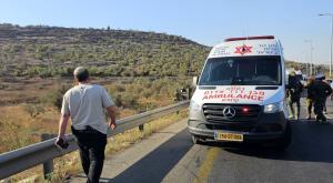 זירת האירוע |  צילום: תיעוד מבצעי מד"א  חדשות
