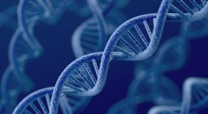 כששני נשאים נפגשים |   צילום: dencg,Shutterstock כדאי לדעת