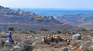 מסע אינטראקטיבי חדש לאורך כביש חוצה בנימין |   צילום: מועצת בנימין כדאי לדעת