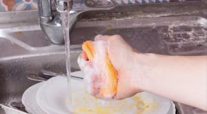 סקוץ' בכיור, אילוסטרציה |  צילום: Svetlyachock,Shutterstock עיצוב הבית