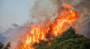 שריפה, אילוסטרציה | צילום: Ververidis Vasilis,Shutterstock חדשות