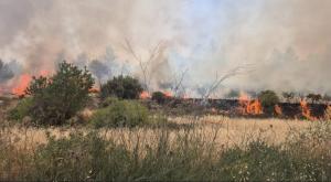 שריפה, ארכיון |  צילום: דוברות כבאות והצלה לישראל חדשות