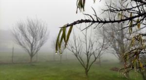 תחזית מזג האוויר |  צילום: Janettata,Shutterstock תחזית מזג האוויר