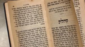 תנך, אילוסטרציה |  צילום: shutterstock חדשות