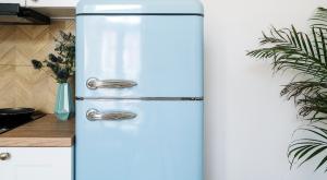 שלא יישאר בשרי במקרר צילום: brizmaker,Shutterstock תשעה באב