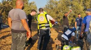 כוחות הצלה מטפלים בפצועים בזירה צילום: תיעוד מבצעי, מד"א חדשות