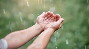 גשם, אילוסטרציה צילום: timltv,Shutterstock תחזית מזג האוויר
