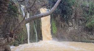 נחל הבניאס צילום: ויטלי גרנדר רשות הטבע והגנים | חדשות