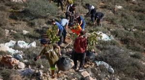 נטיעות בט"ו בשבט, למצולמים אין קשר לנאמר צילום: Gershon Elinson,Flash90 חדשות