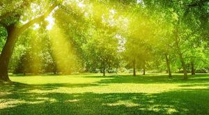 שבת קיצית צילום: shutterstock תחזית מזג האוויר