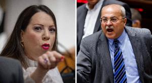 אחמד טיבי, טלי גוטליב צילום: Olivier Fitoussi, Yonatan Sindel/Flash90 חדשות