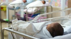 אילוסטרציה |  צילום: sukanya sitthikongsak,Shutterstock חדשות