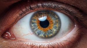 בכל הגוונים שתרצו צילום: Jakub Jakoubek,Shutterstock כדאי לדעת