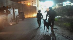 מסריקות כוחות צה"ל צילום: דובר צה"ל חדשות