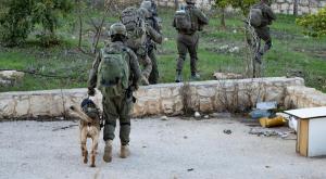 מפעילות הכוחות בדרום לבנון צילום: דובר  צה"ל חדשות
