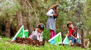 קק"ל | ארכיון צילום: אבי הירשפלד חדשות