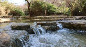 שמורת נחל עיון צילום: שי אייזקס, רשות הטבע והגנים חדשות
